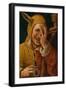 Laughing Fool, C.1500-Jacob Cornelisz van Oostsanen-Framed Giclee Print