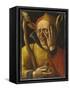 Laughing Jester-Netherlandish School-Framed Stretched Canvas