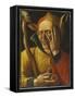 Laughing Jester-Netherlandish School-Framed Stretched Canvas
