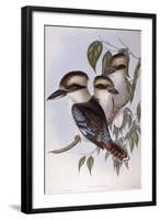 Laughing Kookaburra (Dacelo Novaeguineae)-John Gould-Framed Giclee Print