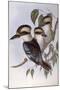 Laughing Kookaburra (Dacelo Novaeguineae)-John Gould-Mounted Giclee Print