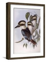 Laughing Kookaburra (Dacelo Novaeguineae)-John Gould-Framed Giclee Print