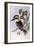 Laughing Kookaburra (Dacelo Novaeguineae)-John Gould-Framed Giclee Print