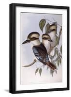 Laughing Kookaburra (Dacelo Novaeguineae)-John Gould-Framed Giclee Print