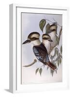 Laughing Kookaburra (Dacelo Novaeguineae)-John Gould-Framed Giclee Print