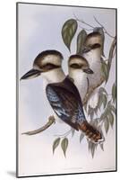 Laughing Kookaburra (Dacelo Novaeguineae)-John Gould-Mounted Giclee Print
