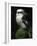 Laughing Kookaburra Perched on Log-Martin Harvey-Framed Photographic Print