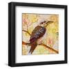 Laughing Kookaburra-null-Framed Premium Giclee Print