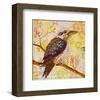 Laughing Kookaburra-null-Framed Premium Giclee Print