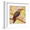 Laughing Kookaburra-null-Framed Premium Giclee Print