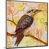 Laughing Kookaburra-null-Mounted Premium Giclee Print