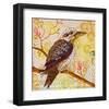 Laughing Kookaburra-null-Framed Art Print