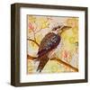 Laughing Kookaburra-null-Framed Art Print