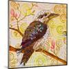 Laughing Kookaburra-null-Mounted Art Print