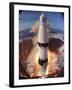 Launch of Apollo 11-Ralph Morse-Framed Photographic Print