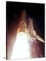 Launch of Endeavour, the 113th Space Shuttle Mission-null-Stretched Canvas