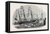 Launch of The Cowes-null-Framed Stretched Canvas