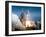 Launch of the Space Shuttle Challenger from Kennedy Space Center,1984-null-Framed Photographic Print