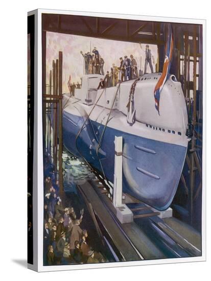 Stretched Canvas Print, , large