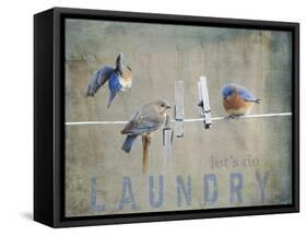 Laundry Day Bluebirds-Jai Johnson-Framed Stretched Canvas