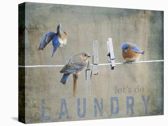 Laundry Day Bluebirds-Jai Johnson-Stretched Canvas