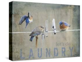 Laundry Day Bluebirds-Jai Johnson-Stretched Canvas