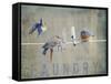 Laundry Day Bluebirds-Jai Johnson-Framed Stretched Canvas