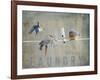 Laundry Day Bluebirds-Jai Johnson-Framed Giclee Print