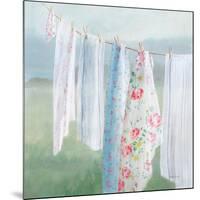 Laundry Day I-Danhui Nai-Mounted Art Print