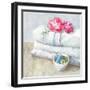 Laundry Day IV-Danhui Nai-Framed Art Print