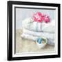 Laundry Day IV-Danhui Nai-Framed Art Print