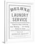 Laundry Deluxe-The Vintage Collection-Framed Art Print