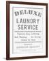 Laundry Deluxe-The Vintage Collection-Framed Art Print