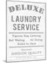 Laundry Deluxe-The Vintage Collection-Mounted Art Print