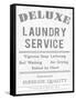 Laundry Deluxe-The Vintage Collection-Framed Stretched Canvas