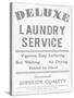 Laundry Deluxe-The Vintage Collection-Stretched Canvas