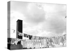 Laundry Drying on Clotheslines-Jack Delano-Stretched Canvas