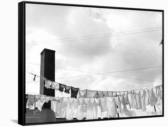 Laundry Drying on Clotheslines-Jack Delano-Framed Stretched Canvas