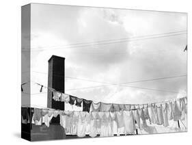 Laundry Drying on Clotheslines-Jack Delano-Stretched Canvas