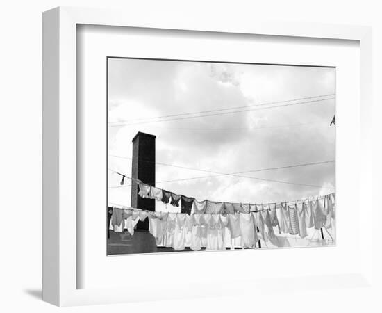 Laundry Drying on Clotheslines-Jack Delano-Framed Photographic Print