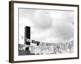 Laundry Drying on Clotheslines-Jack Delano-Framed Photographic Print