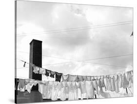 Laundry Drying on Clotheslines-Jack Delano-Stretched Canvas