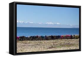 Laundry Hangs on a Wall on Isla Del Sol Along the Edge of Lake Titicaca-Alex Saberi-Framed Stretched Canvas