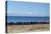 Laundry Hangs on a Wall on Isla Del Sol Along the Edge of Lake Titicaca-Alex Saberi-Stretched Canvas