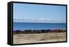 Laundry Hangs on a Wall on Isla Del Sol Along the Edge of Lake Titicaca-Alex Saberi-Framed Stretched Canvas