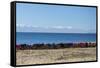 Laundry Hangs on a Wall on Isla Del Sol Along the Edge of Lake Titicaca-Alex Saberi-Framed Stretched Canvas