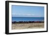 Laundry Hangs on a Wall on Isla Del Sol Along the Edge of Lake Titicaca-Alex Saberi-Framed Photographic Print