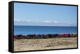 Laundry Hangs on a Wall on Isla Del Sol Along the Edge of Lake Titicaca-Alex Saberi-Framed Stretched Canvas