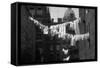 Laundry on Line in Slum Area in New York City-Vernon Merritt III-Framed Stretched Canvas