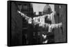 Laundry on Line in Slum Area in New York City-Vernon Merritt III-Framed Stretched Canvas